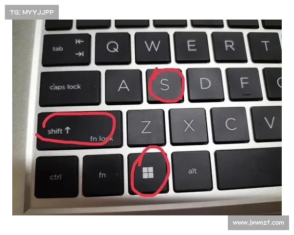 教你如何高效快捷地查询战舰世界个人战绩数据详情