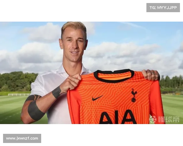 如何全面评估洛塞尔索的赛场表现与技术价值及战术影响深度探析